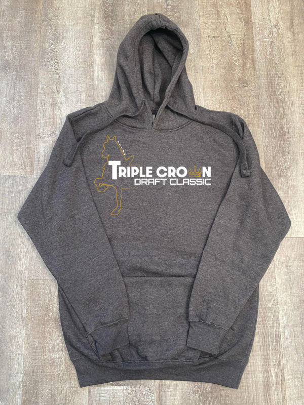 TCDC Hoodie - Image 2